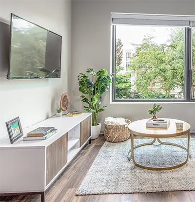 Student 1 Bedroom Apartments